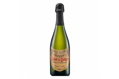 Put.vynas-Juve & Camps Gran Reserva de la Familia Brut Nature 2019 12% 0.75L