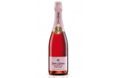 Put.vynas-Juve & Camps Pinot Noir Brut Rose 12% 0.75L