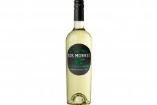Vynas-Besoain Los Morros Sauvignon Blanc Central Valley 2022 12.5% 0.75L