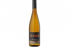 Vynas-Besoain Single Vineyard Riesling Valle de Casablanca 2021 13% 0.75L