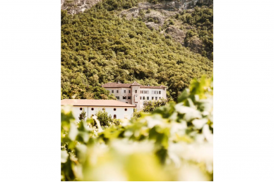 Vynas-Castel Firmian Pinot Nero Trentino 2021 DOC 13% 0.75L 3