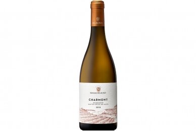 Vynas-Edouard Delaunay Burgundy Hautes Cotes De Nuits Chardonay 2021 12.5% 0.75L